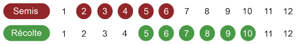 Calendrier semi Fenouil Zefa Fino