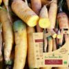 Carotte jaune longue du Doubs bio