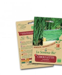 ciboulette commune bio