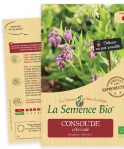Consoude officinale bio