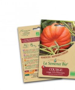 courge bio