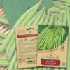 Haricot vert nain bio