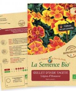 oeillet d'inde bio