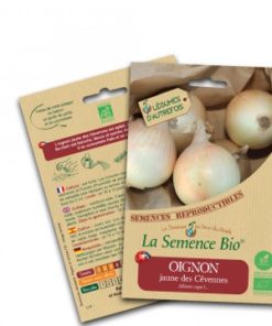 oignon doux des cevennes bio