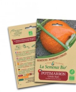 Potimarron uchiki kuri bio
