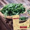 roquette bio