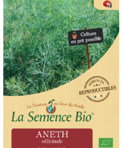 ANETH officinale Bio