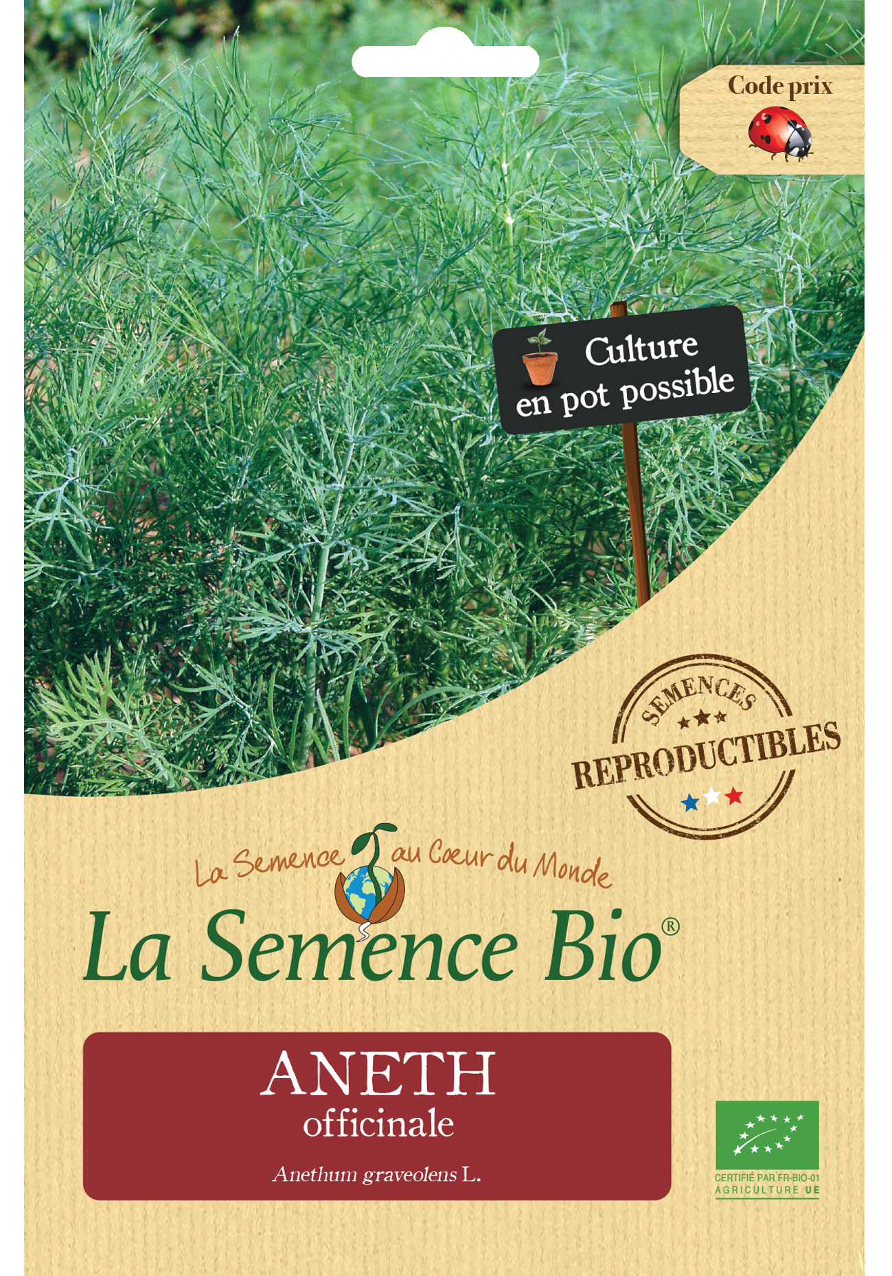 Artemisia annua Bio - La Boîte à Graines
