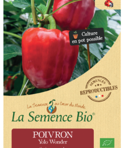 Poivron rouge Yolo Wonder Bio