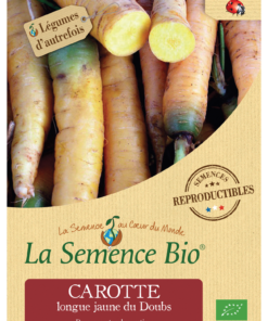 Carotte longue jaune du Doubs Bio
