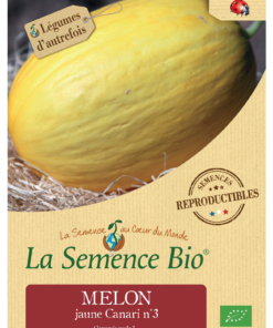 Semence bio MELON jaune Canari