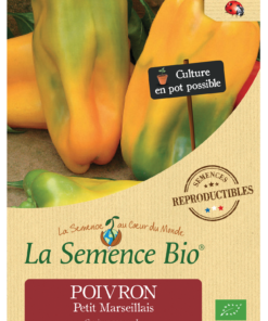 Semence bio POIVRON Petit Marseillais