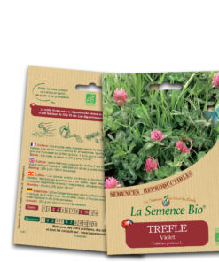 trèfle violet bio