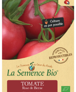 Tomate Rose de Berne Bio