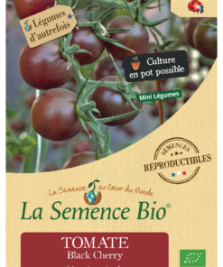 Tomate Black Cherry cocktail Bio
