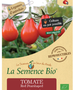 Tomate Red Pearshaped Bio petite tomate rouge en forme de poire
