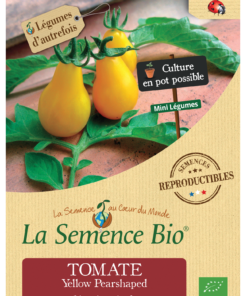 Tomate Yellow Pearshaped Bio - petite tomate jaune en forme de poire