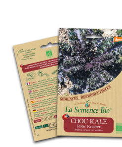 Chou kale roter bio