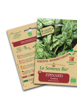 epinard america bio