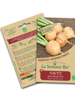 navet boule d'or bio