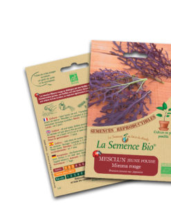 mesclun mizuna rouge bio