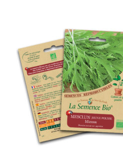 jeune pousse mesclun bio