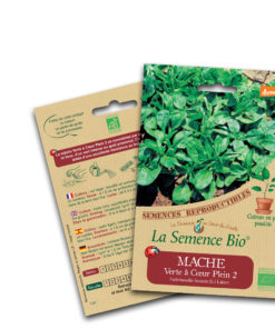 Mâche verte bio