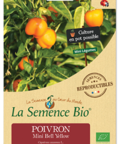 Mini POIVRON Bell Yellow Bio