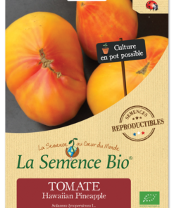 TOMATE Hawaiian Pineapple Ananas Bio