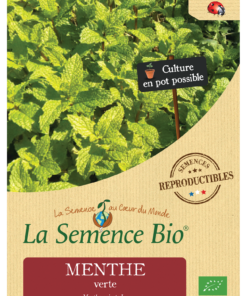 MENTHE verte Bio