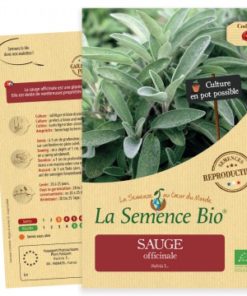 Sauge officinale bio
