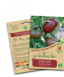 tomate noire de crimée bio