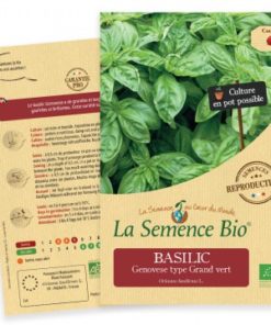 Basilic Genovese bio