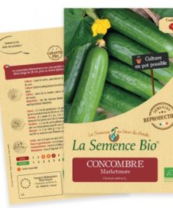 concombre bio