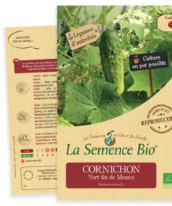 cornichon vert bio