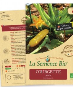 courgette jaune bio