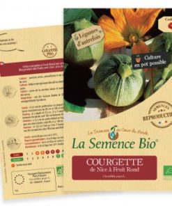 courgette bio
