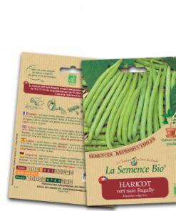 Haricot vert nain bio