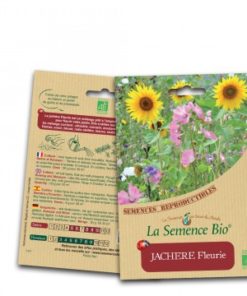 jachère fleurie bio