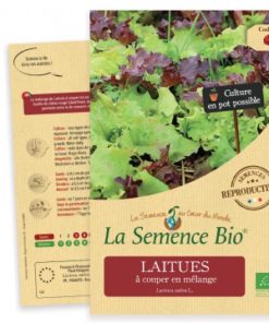 Laitue a couper en mélange bio