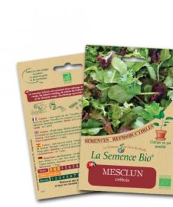 mesclun crétois bio