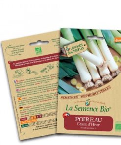 poireau géant d'hiver bio