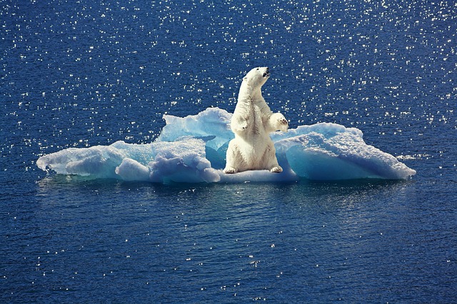 ecologie