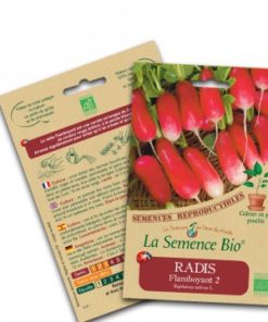Radis flamboyant bio
