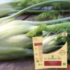 semences bio fenouil zefa fino reproductibles