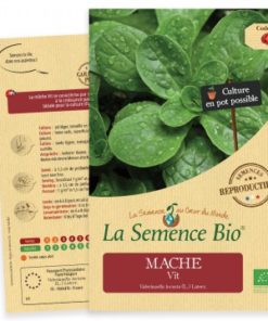 mache vit bio
