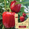 Semences-poivron-rouge-yolo-wonder