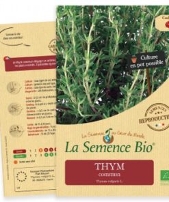 thym commun bio