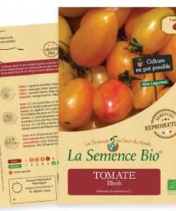 semence tomate bio