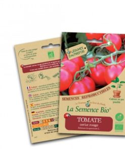 tomate cerise rouge bio